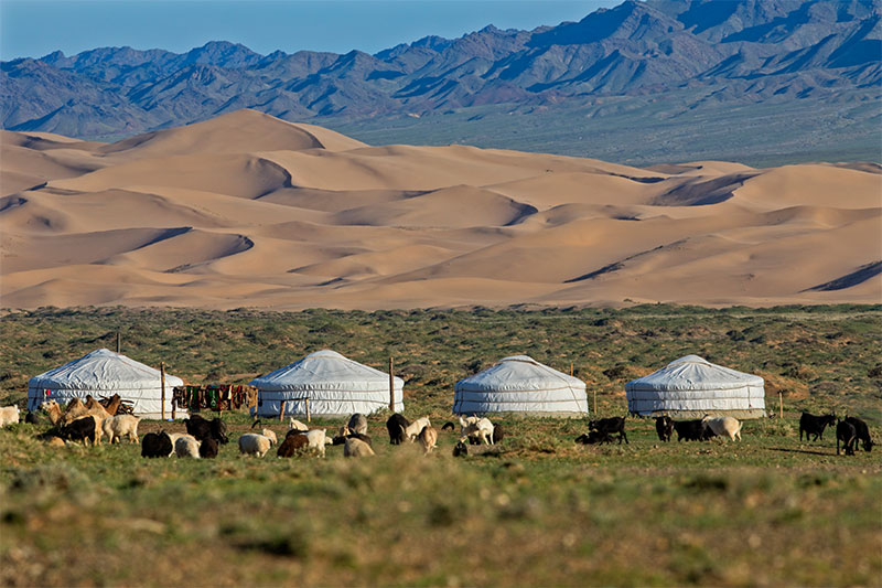 visit gobi nomads mongolia